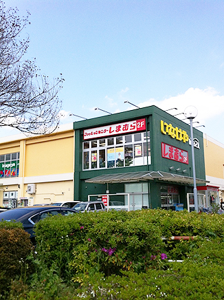 しまむら天神店に行って来ました